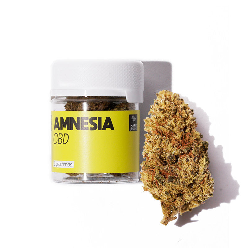 Amnesia - Fleur CBD