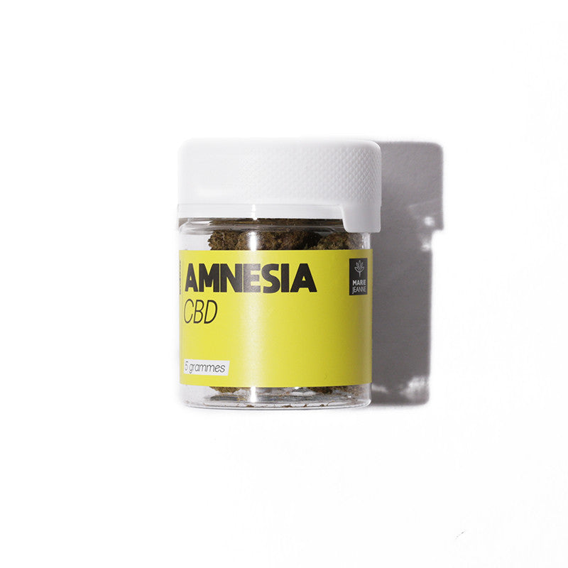 Amnesia - Fleur CBD