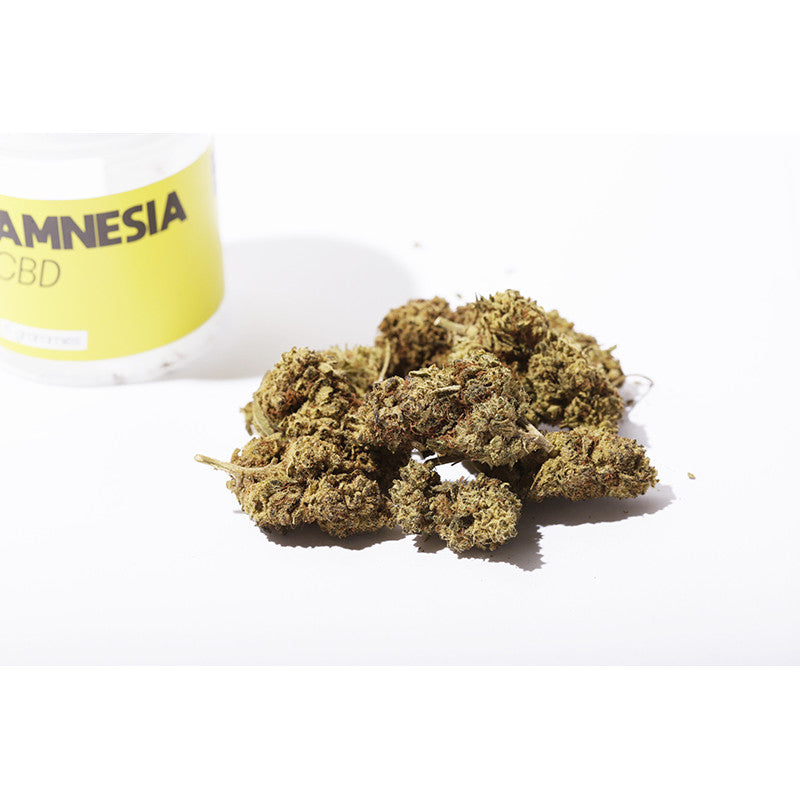 Amnesia - Fleur CBD