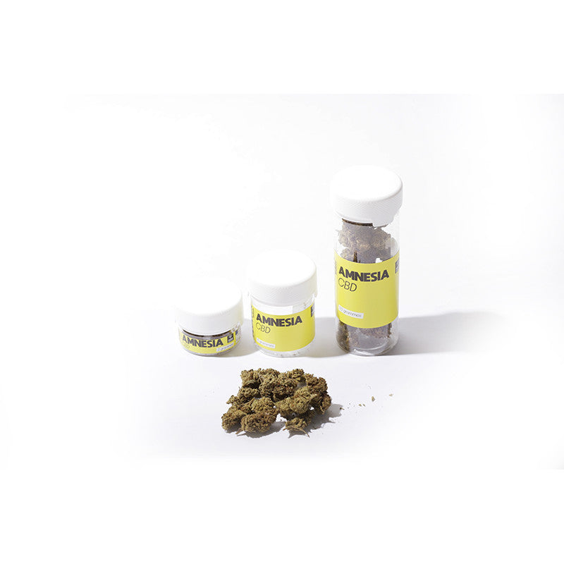 Amnesia - Fleur CBD