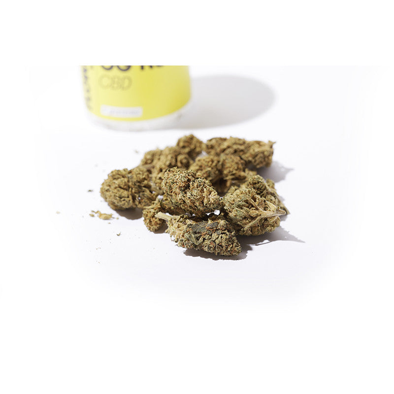 OG Kush - Fleur CBD