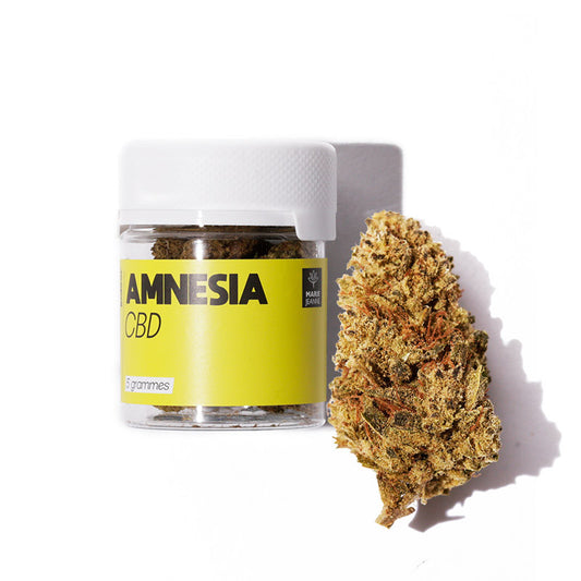 Amnesia - Fleur CBD